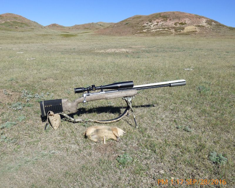 293%20Yd%20PD%20and%20204%20Ruger%20Rifle--small_zpsbvhzzfum.jpg