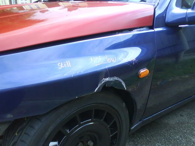 [Image: ImportedPhotos00009.jpg]