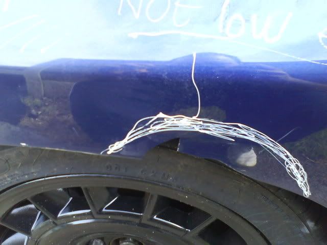 [Image: ImportedPhotos00010.jpg]