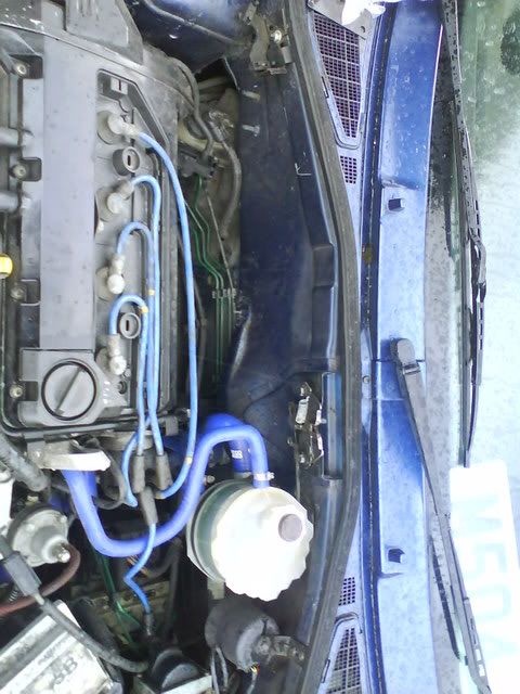 [Image: ImportedPhotos00016.jpg]