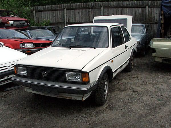 jetta2.jpg