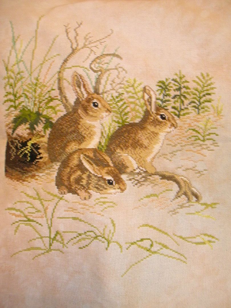 Three Rabbits(c)