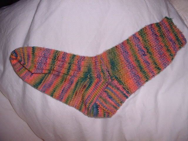 Koigu Sock