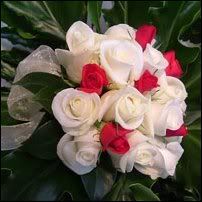 Image hosting by Photobucket