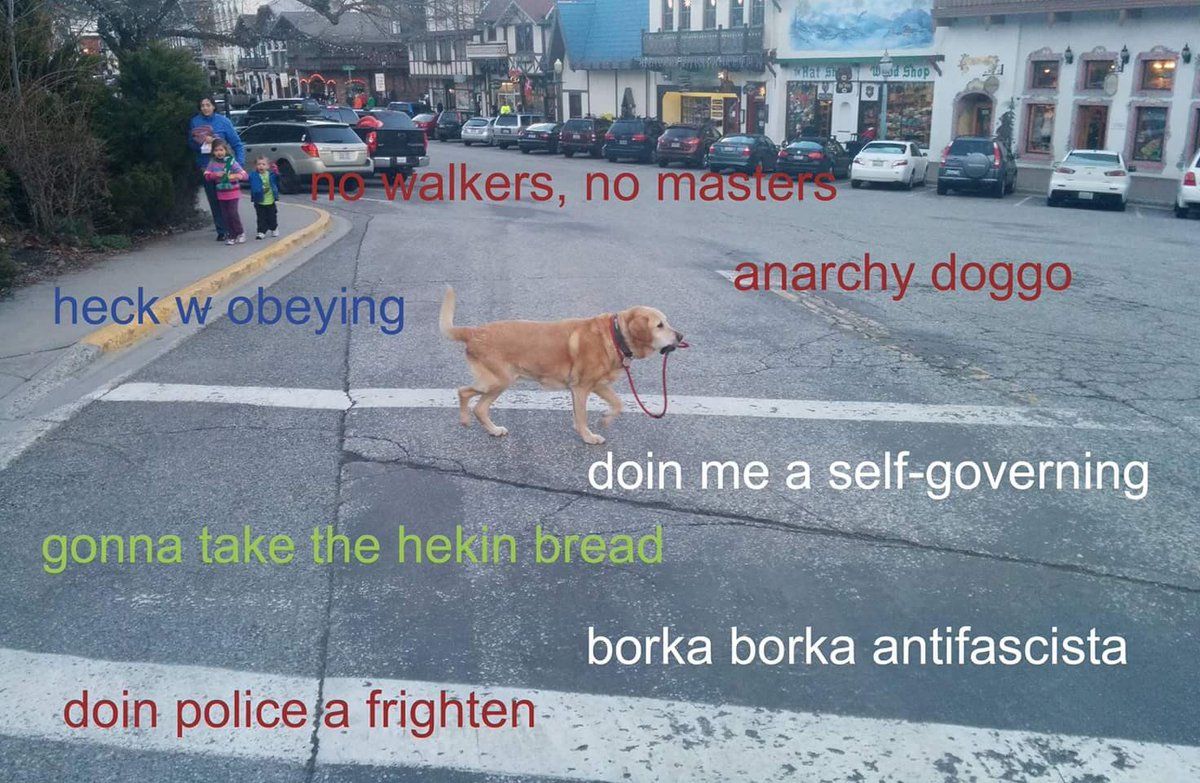 photo C4FJxwSXUAEdIRc_zpsgit47t6j.jpg