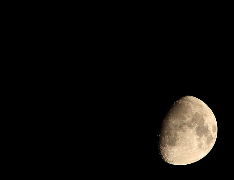 IMAGE: http://img.photobucket.com/albums/v621/2005GLI/Canon%20pics/october21st3quartermoon40d.jpg