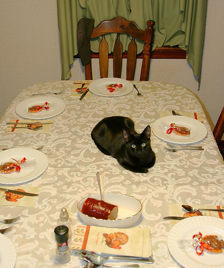 IMAGE: http://img.photobucket.com/albums/v621/2005GLI/Cat%20pics/mickeycenterpiece.jpg