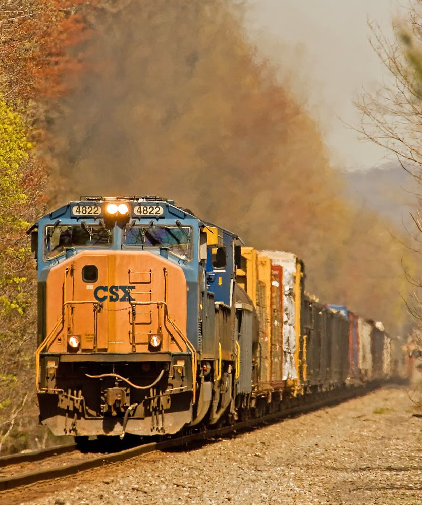 IMAGE: http://img.photobucket.com/albums/v621/2005GLI/Train%20pics/CSX4822southboundHaworthapril24th.jpg