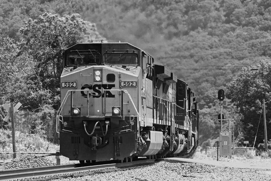 IMAGE: http://img.photobucket.com/albums/v621/2005GLI/Train%20pics/June19IonaIslandblackandwhite.jpg