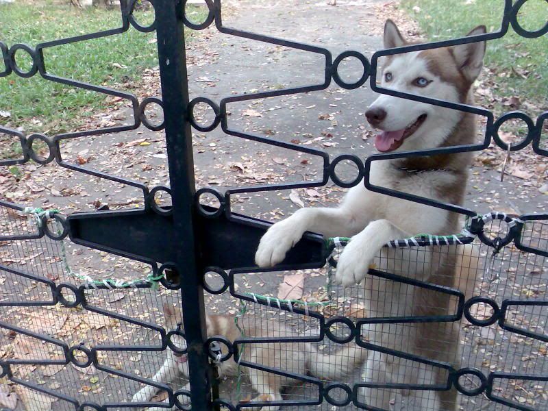 Photobucket - Video and Image Hosting