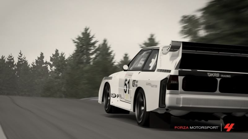 Forza101.jpg