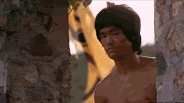 BRUCE-LEE-APPROVES-GIF.gif