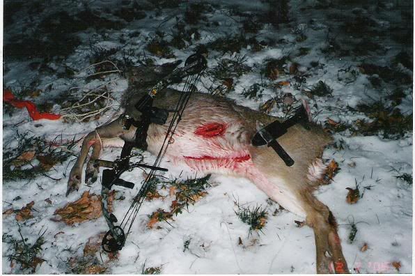 myfirstdeer412-7-05.jpg