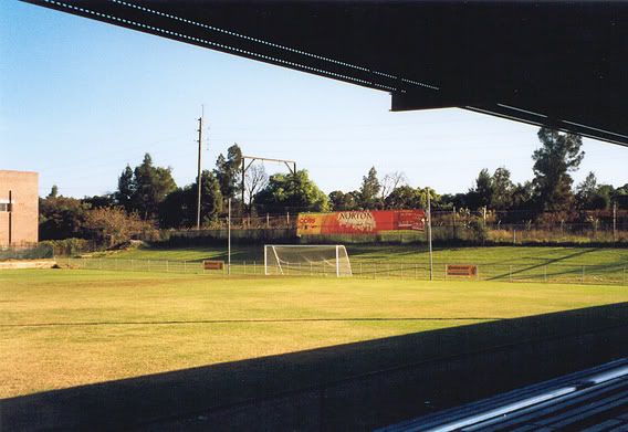 Apia Tigers