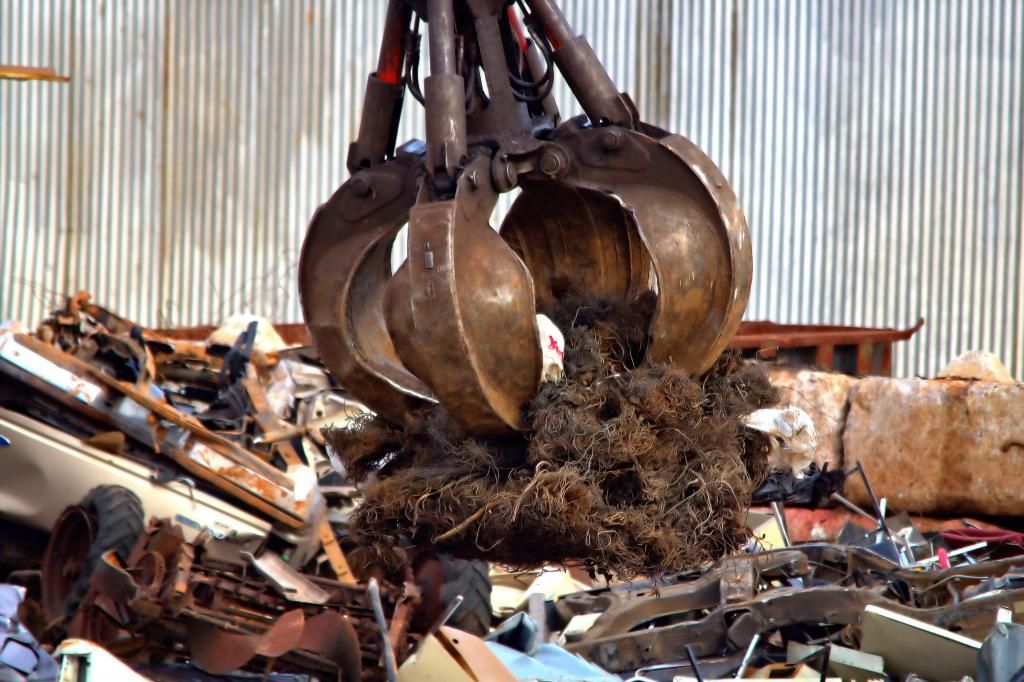 IMAGE: http://img.photobucket.com/albums/v622/ps1rick/IMG_5677_Detail_zps97fb1e9c.jpg