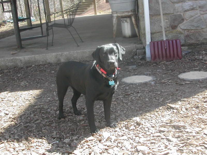 Picture035.jpg