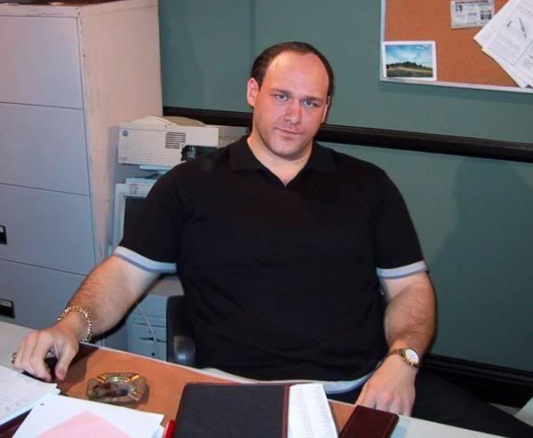 madtv will sasso page 5 planet madtv madtv will sasso page 5 planet madtv