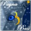 Payna/Basi Avatar