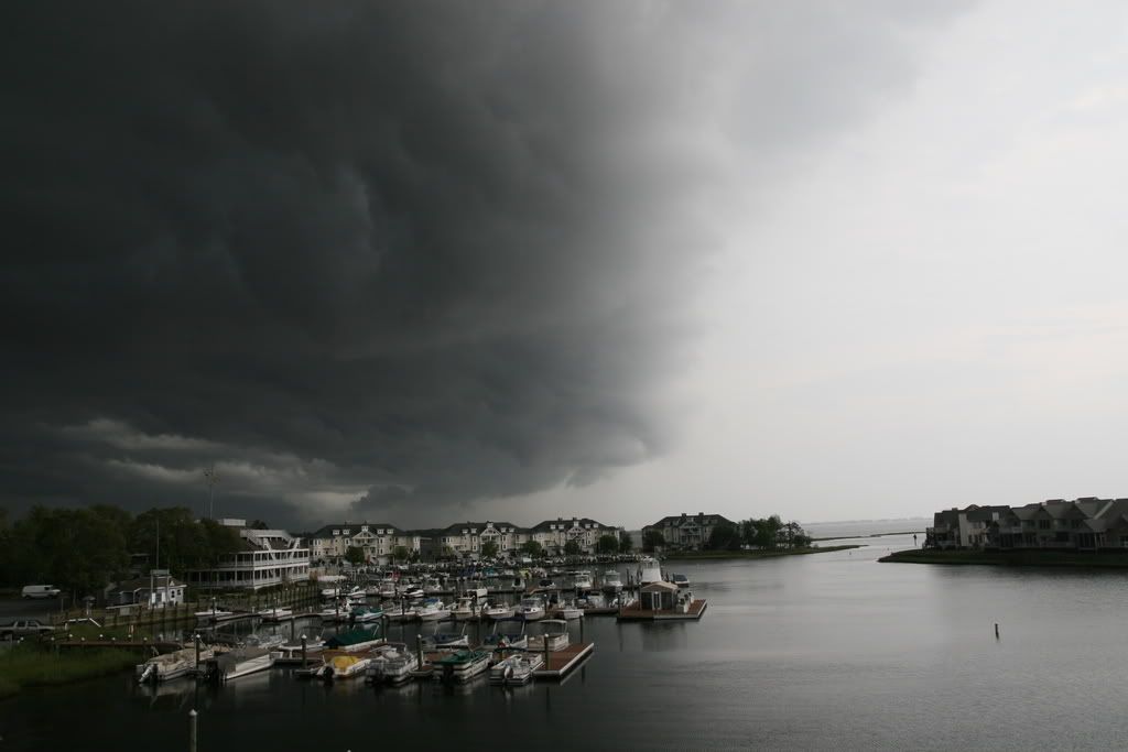 IMAGE: http://img.photobucket.com/albums/v624/jetzwing/Picture051.jpg