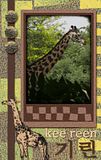 Kee Reen, Giraffe - Flashcard