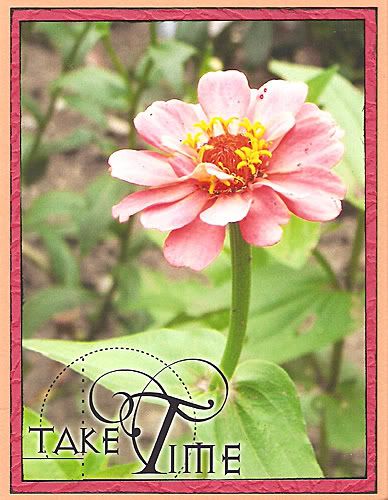 Take Time Card by Neith Juch