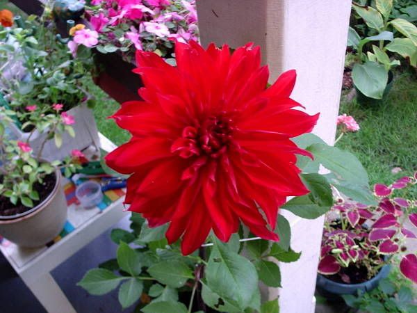 Image hosted by Photobucket.com