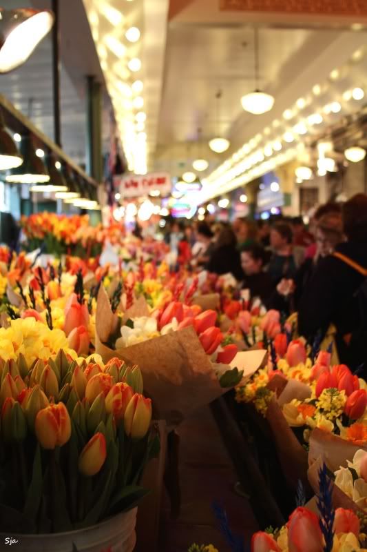 IMAGE: http://img.photobucket.com/albums/v625/CelicaBuddy/IMG_1501.jpg