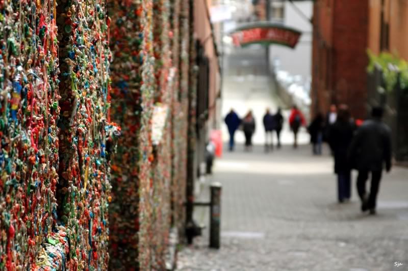 IMAGE: http://img.photobucket.com/albums/v625/CelicaBuddy/IMG_1522.jpg