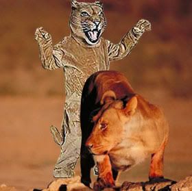 lion