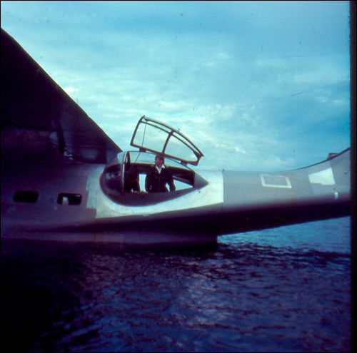 WOW! Where did THAT Come From - Homesteading Questions