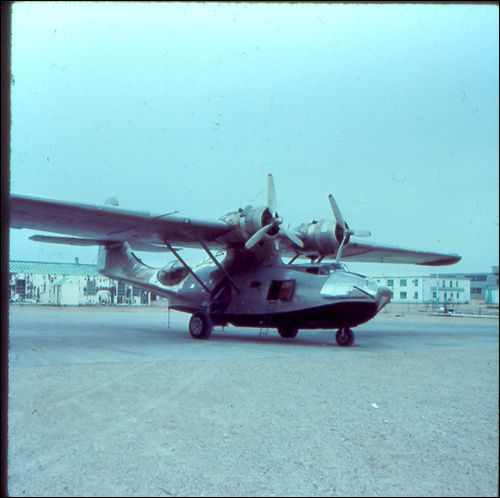 WOW! Where did THAT Come From - Homesteading Questions