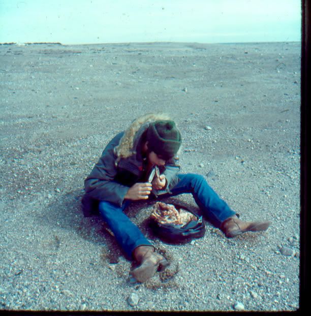 Anyone eat raw bacon? - Homesteading Questions