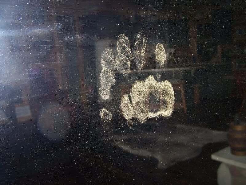 They're here! - Homesteading Questions