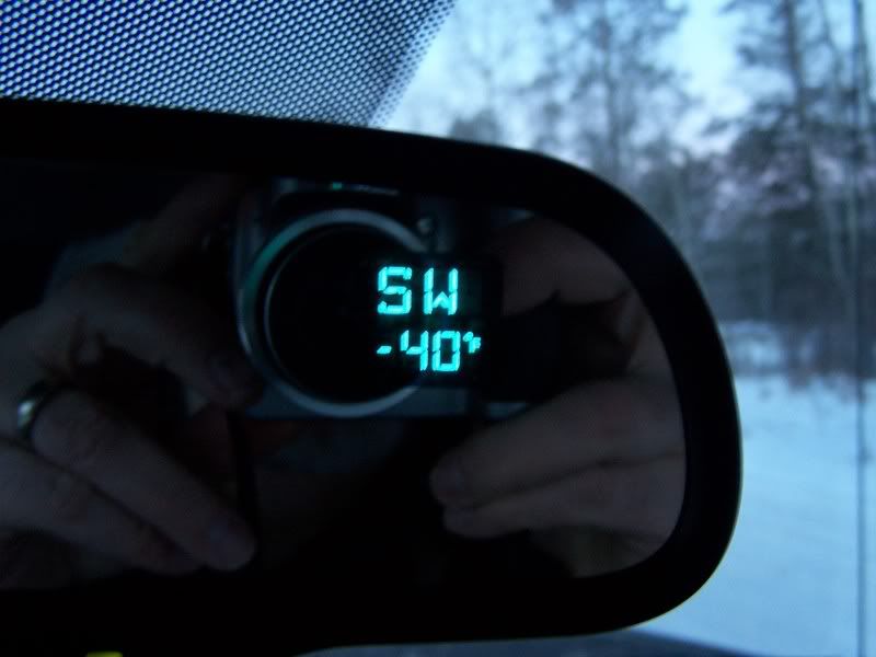 Dealing with mice? - Homesteading Questions