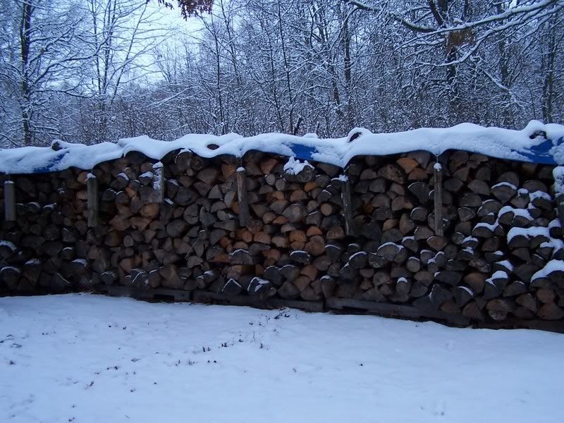 firewood question... - Homesteading Questions