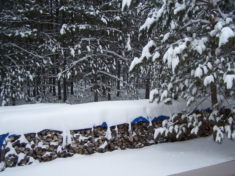 firewood question... - Homesteading Questions