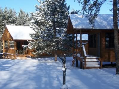 Finishing a cabin - Homesteading Questions