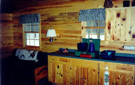 Economical kitchen cabinets - Homesteading Questions