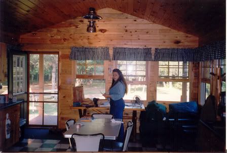 Finishing a cabin - Homesteading Questions