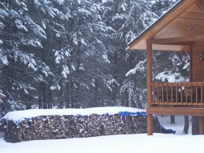 Drying firewood - Homesteading Questions