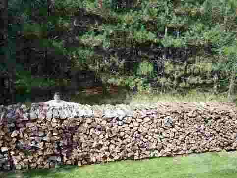 Drying firewood - Homesteading Questions