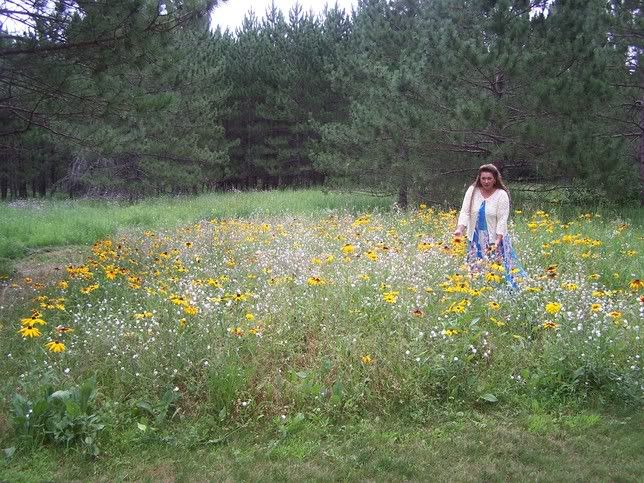 Plantin on a septic drainfield - Homesteading Questions