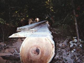 http://img.photobucket.com/albums/v625/fligh/Sawmill/FirstCut1.jpg