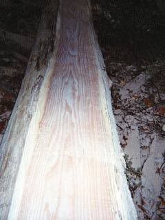 http://img.photobucket.com/albums/v625/fligh/Sawmill/FirstCut3.jpg