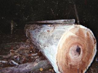 http://img.photobucket.com/albums/v625/fligh/Sawmill/GuideRail.jpg