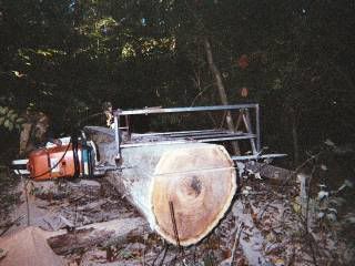 http://img.photobucket.com/albums/v625/fligh/Sawmill/SecondCut.jpg