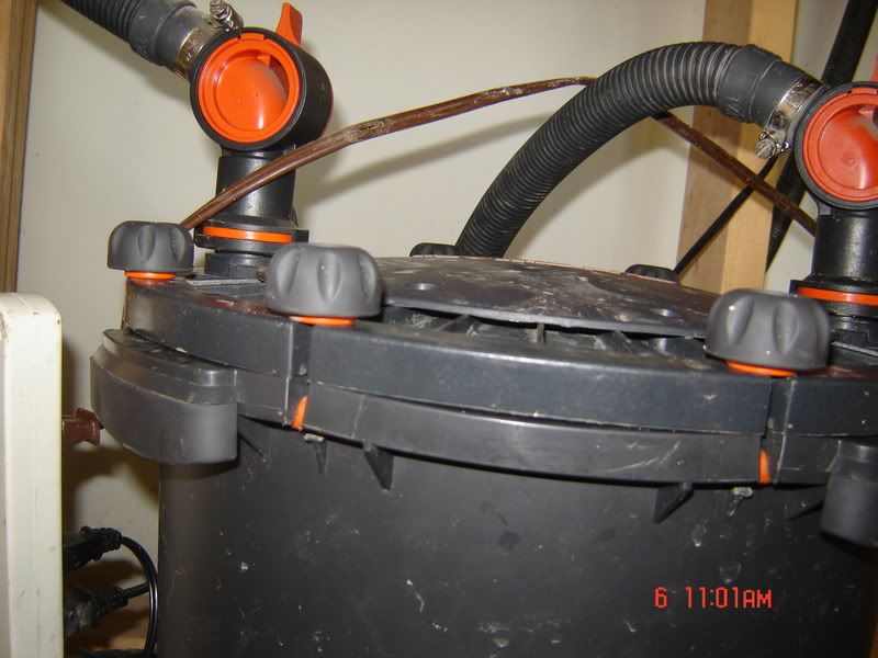 FX5 Questions and probable problem. Cichlid Fish Forum