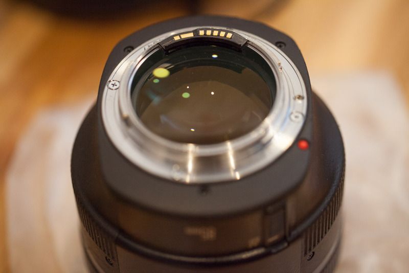 IMAGE: http://img.photobucket.com/albums/v626/kaitanium/IMG_2641.jpg