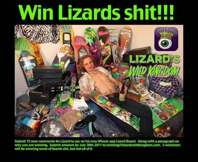 Lizard Winning contest