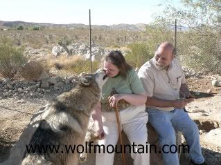 Wolf kisses
